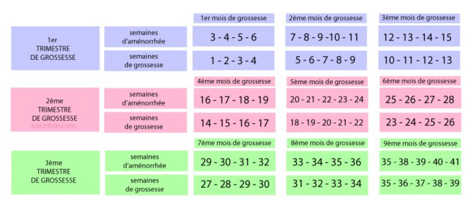 La prématurité – Merckx Pédiatrie
