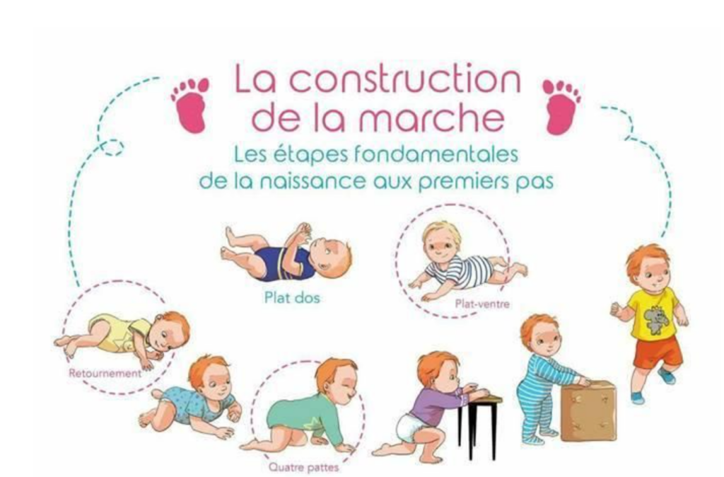 Les bases du développement moteur de bébé - Cabinet de Rééducation Précoce  de l Enfant